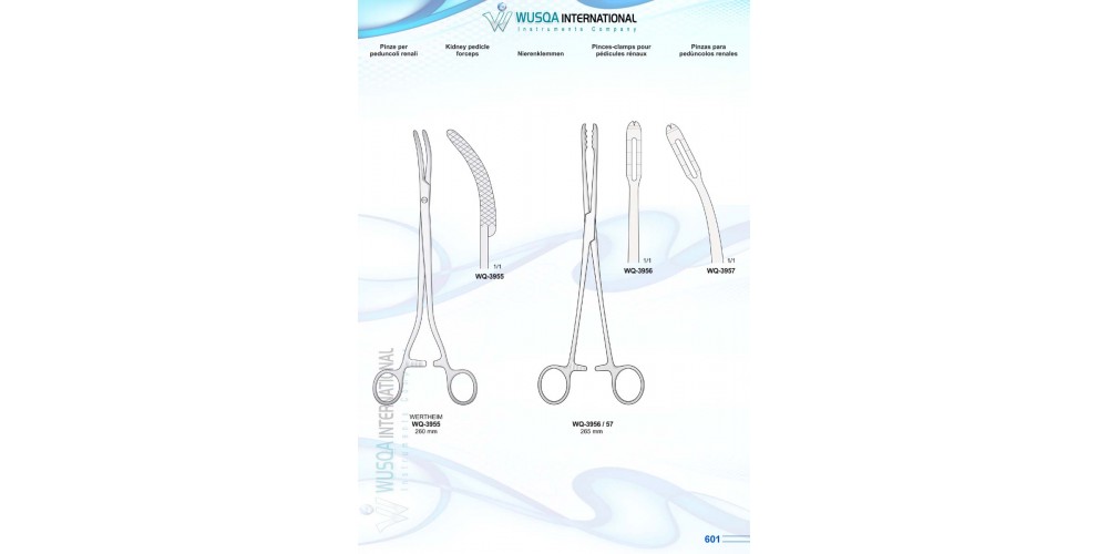 Kidney Pedicle Forceps 